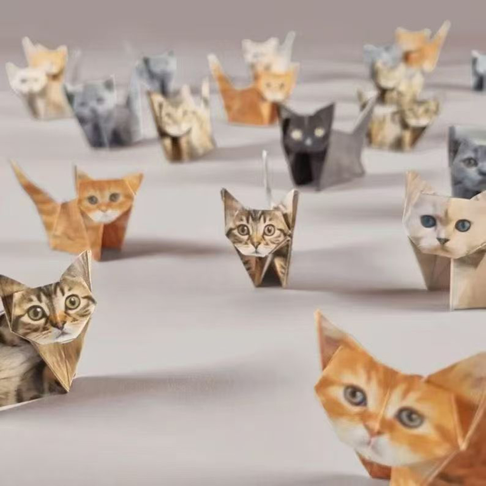 Yaratıcı Kendin Yap Kağıt Kedi - Art Craft Dinosaurs incelemesi ve fiyatı
